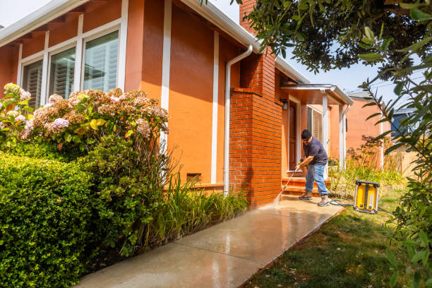 Best Pressure Washing Siding  in Lake Holiday, IL
