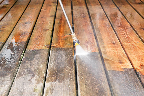 Best Affordable Pressure Washing  in Lake Holiday, IL