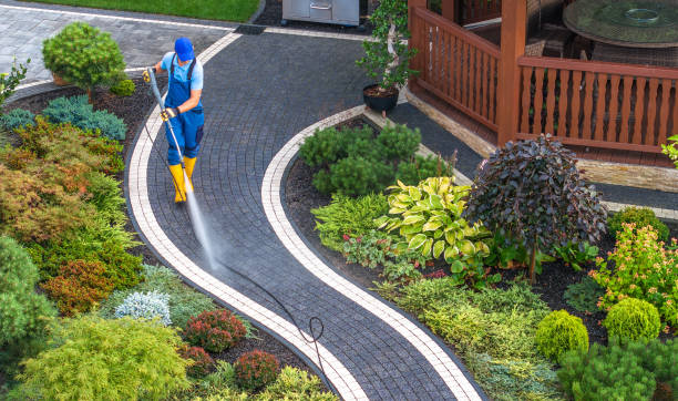 Best House Pressure Washing  in Lake Holiday, IL