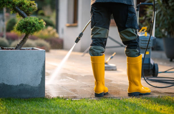 Best Deck Pressure Washing  in Lake Holiday, IL